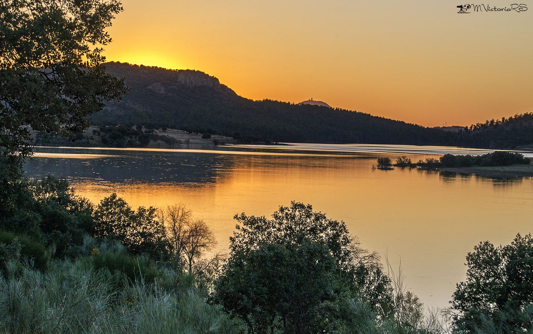 Atardecer en el pantano