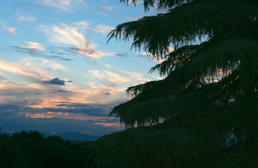 Atardecer en el parque.....