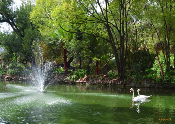 Atardecer en el Parque