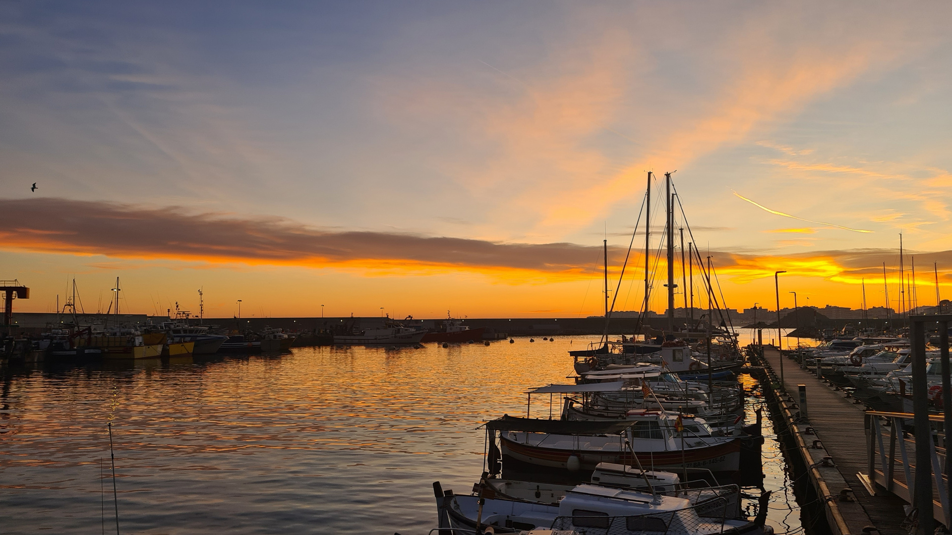 Atardecer en el puerto