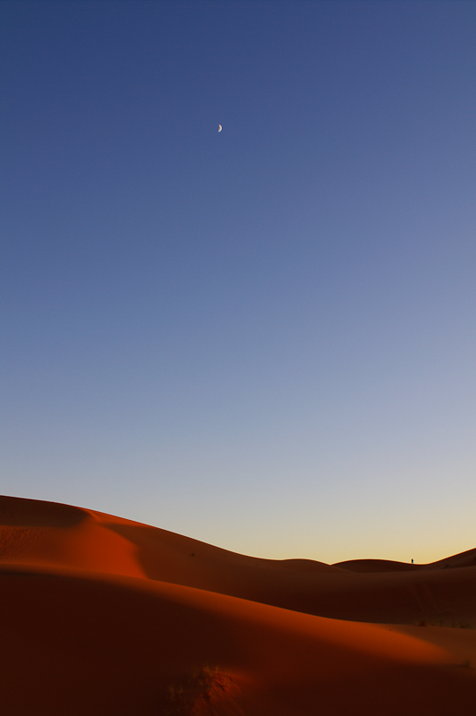 ATARDECER EN EL SAHARA