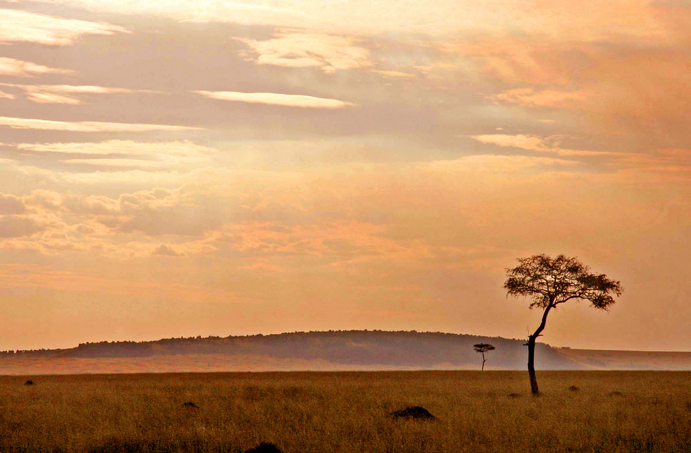 Atardecer en el Serengueti