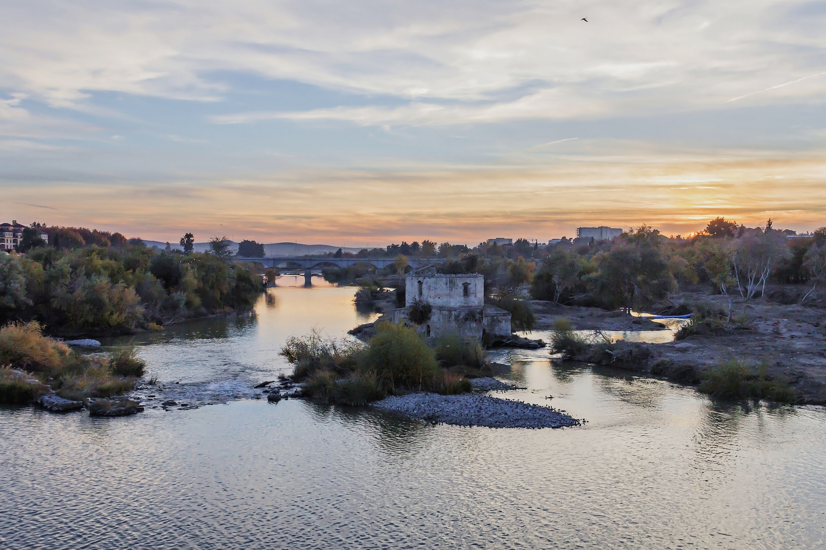 Atardecer en el Soto de la Albolafia