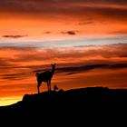 atardecer en el valle de la luna - sunset in the valley of the moon