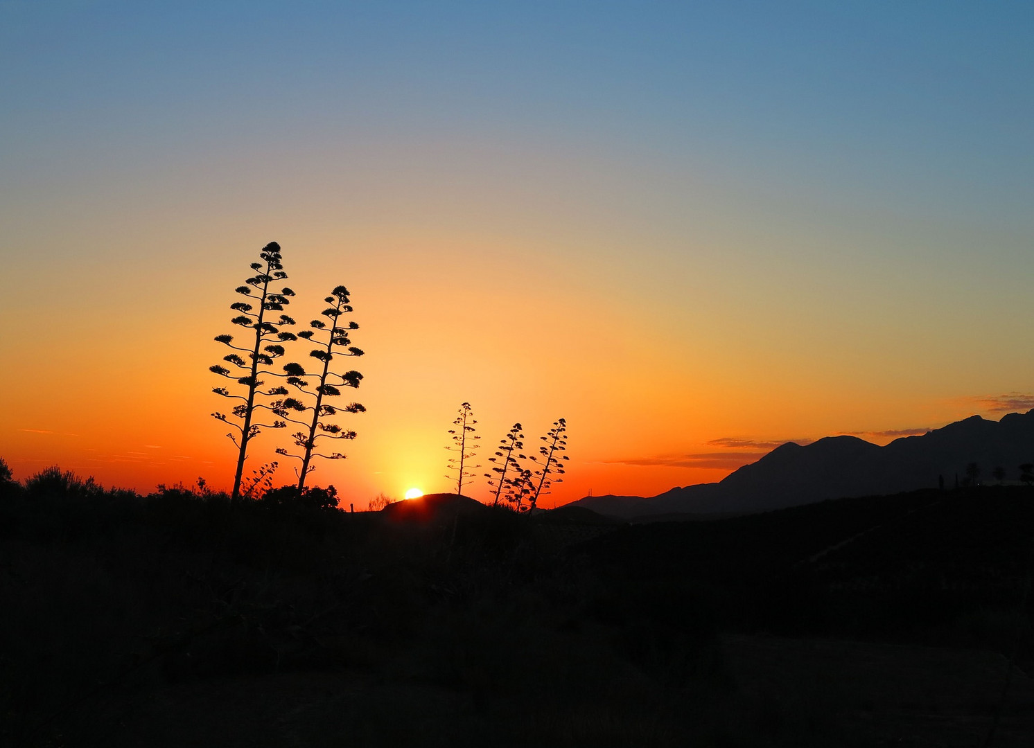 Atardecer en español