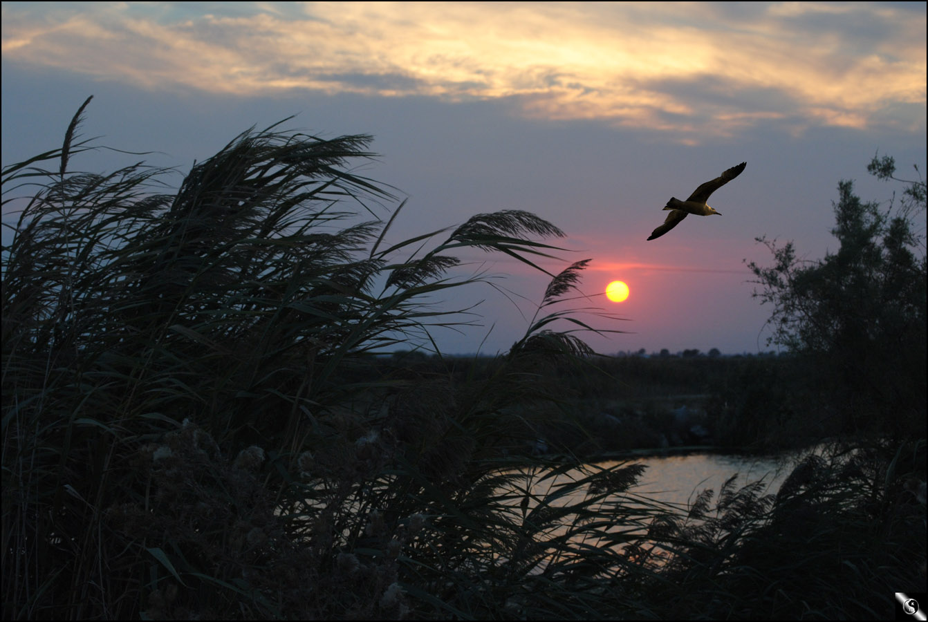 Atardecer en Grecia