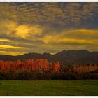 ATARDECER EN GREDOS