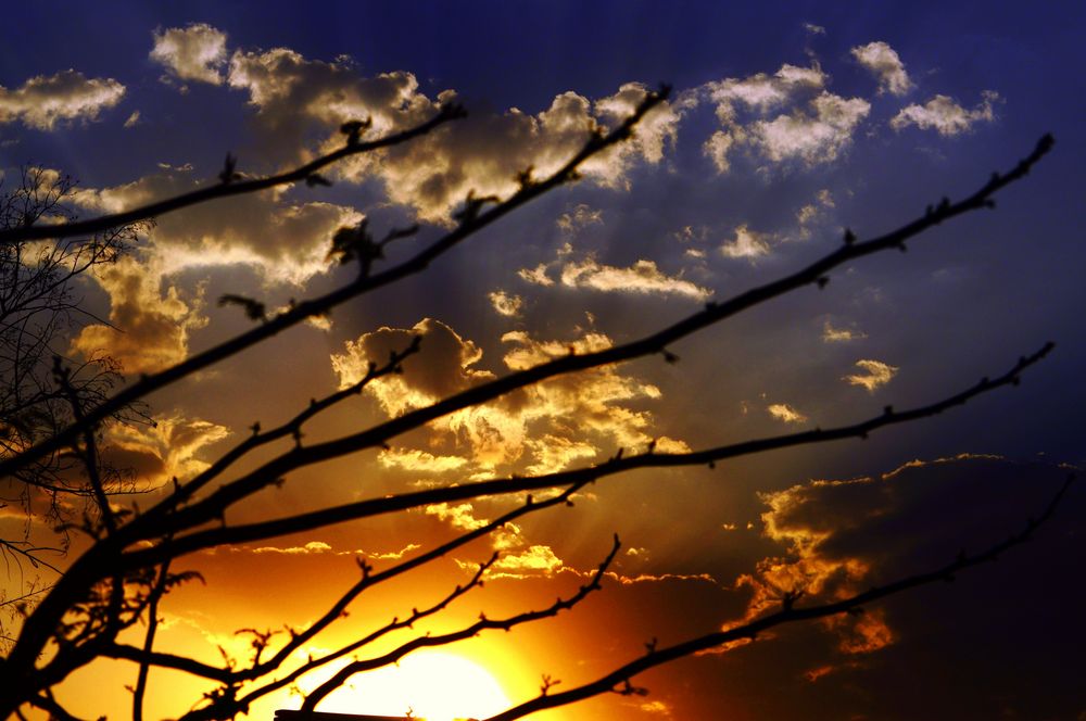 Atardecer en Guadalajara, Jal de Paula M Zaragoza 