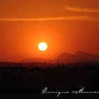 atardecer en hermosillo, sonora, mexico