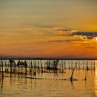 Atardecer en la Albufera 