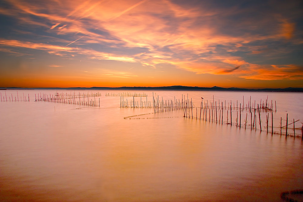 Atardecer en La Albufera