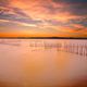 Atardecer en La Albufera