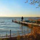 Atardecer en "La Albufera"