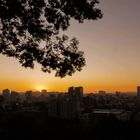 Atardecer en la ciudad