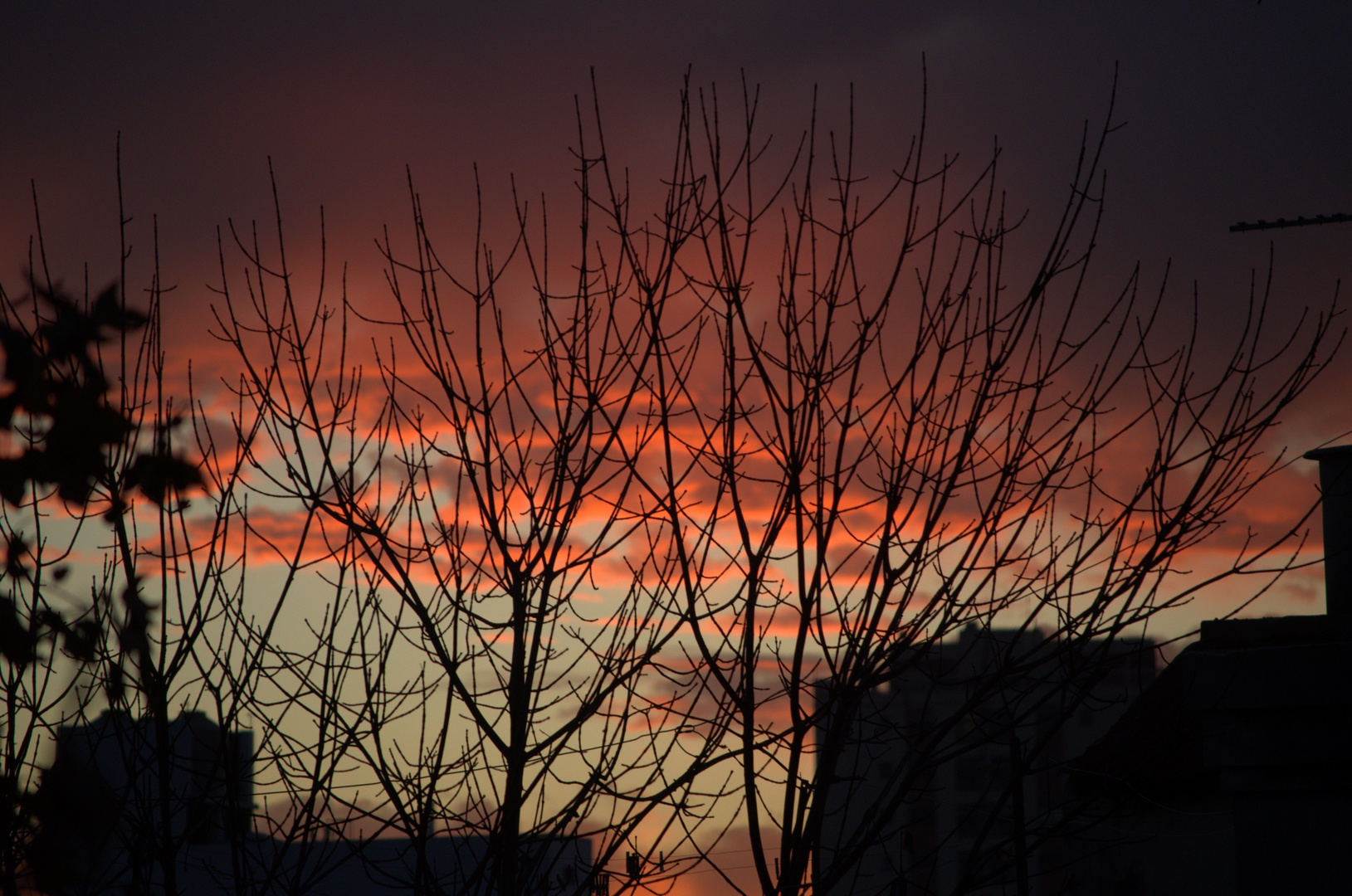 Atardecer en la ciudad