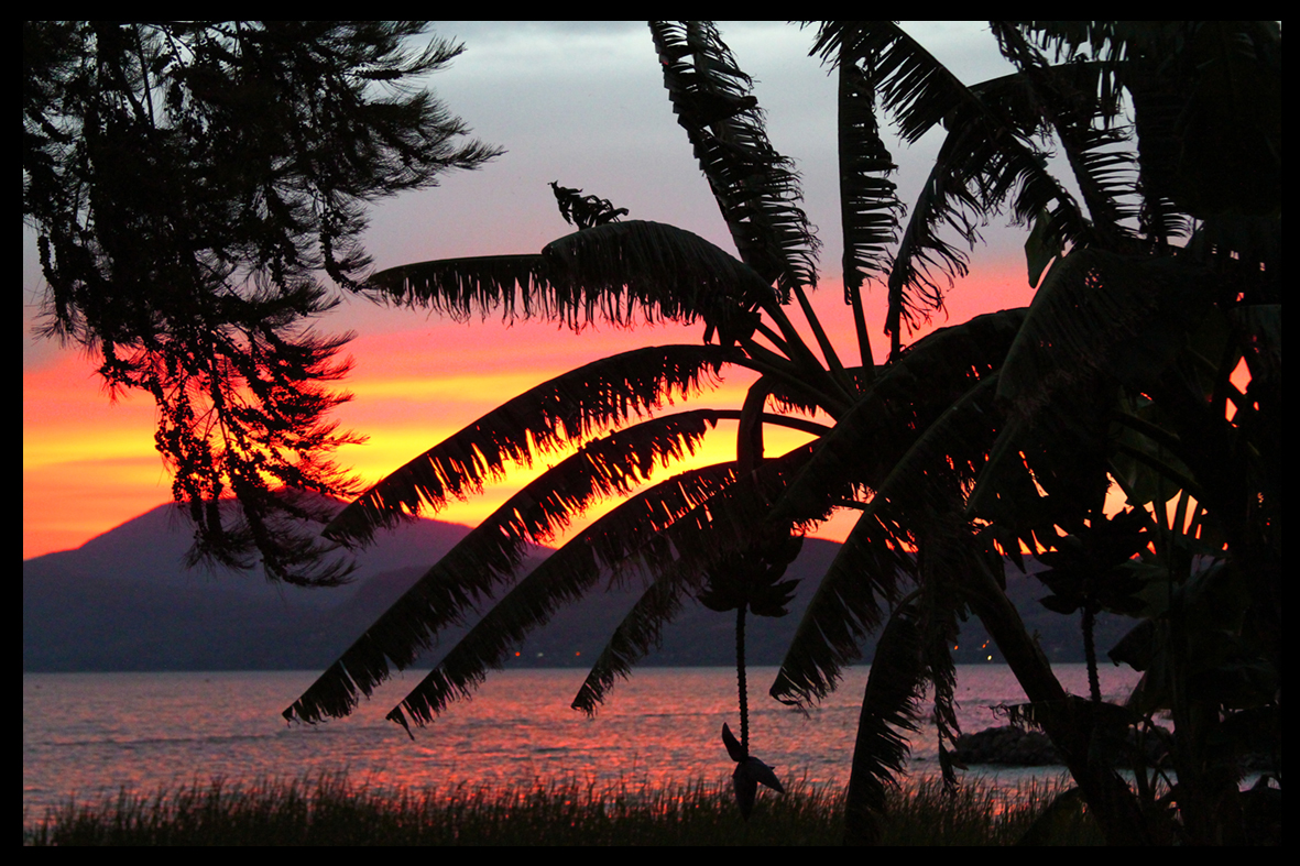 atardecer en la laguna