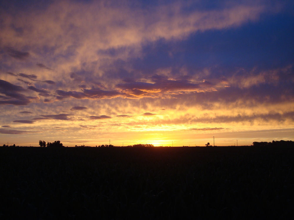 Atardecer en la llanura 2