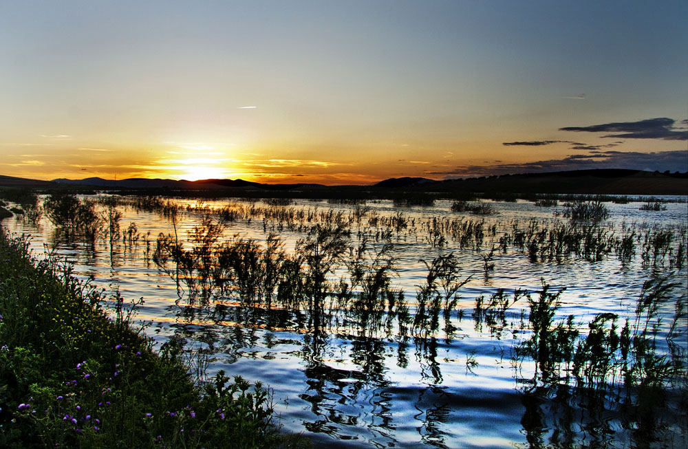 Atardecer en La Mancha