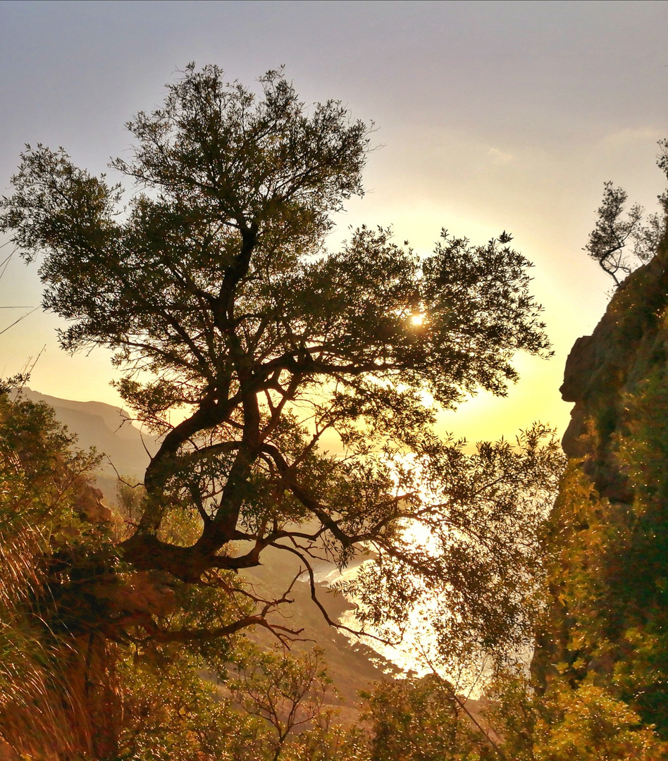 Atardecer en la montaña