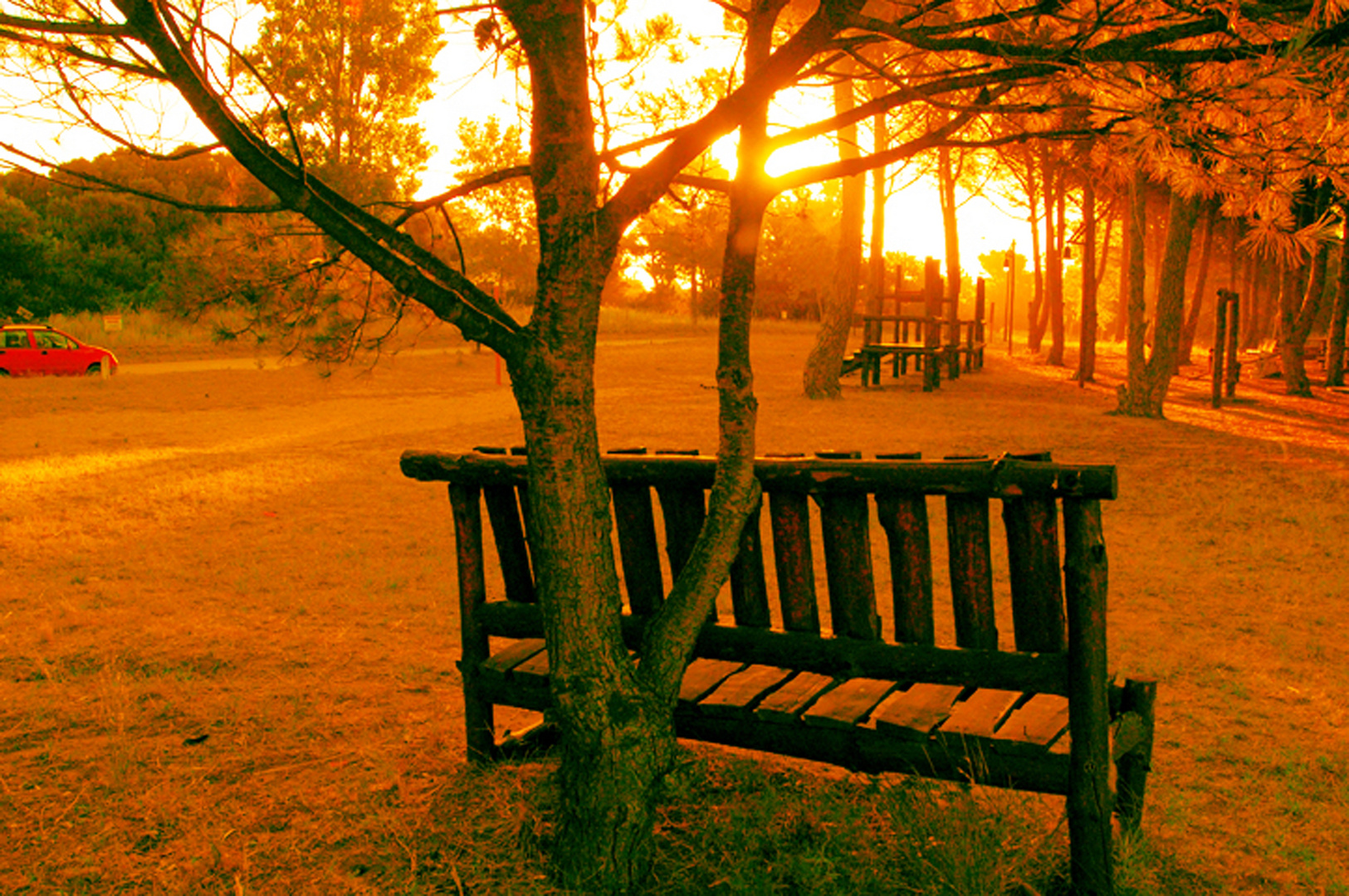 atardecer en la placita