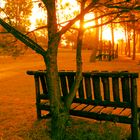 atardecer en la placita