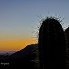 Atardecer en la puna