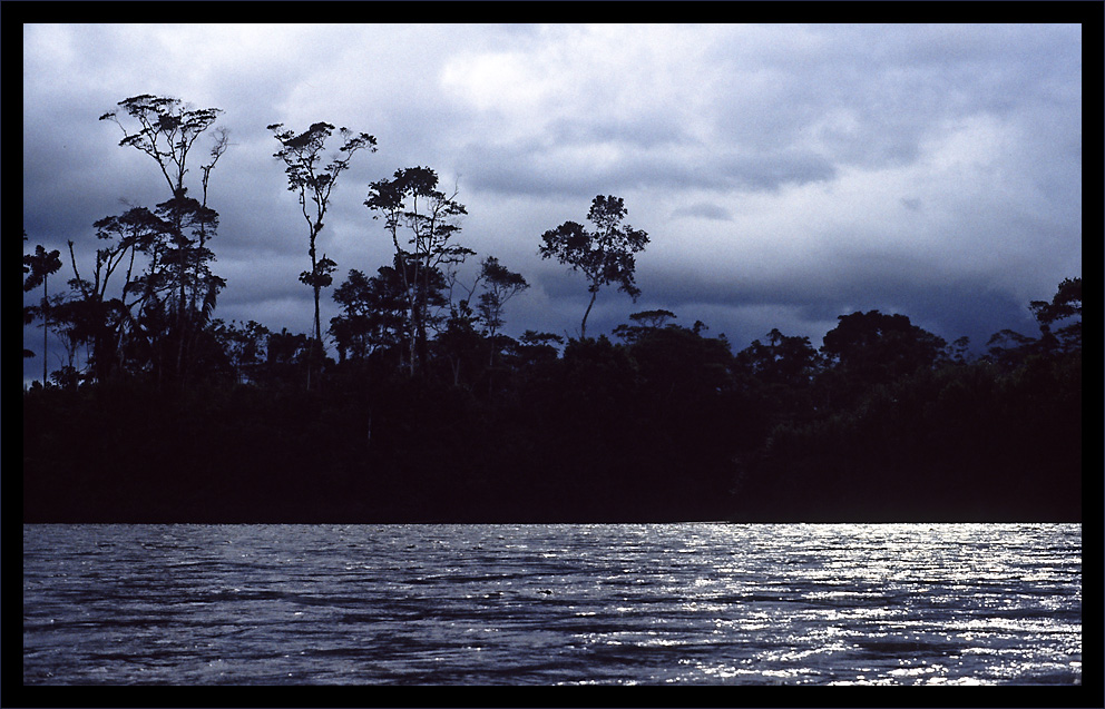 - atardecer en la selva -