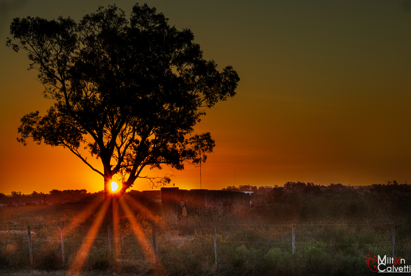 Atardecer en la tapera