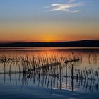 Atardecer en L'albufera 2