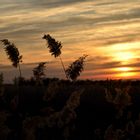 Atardecer en las Lagunas de Ruidera