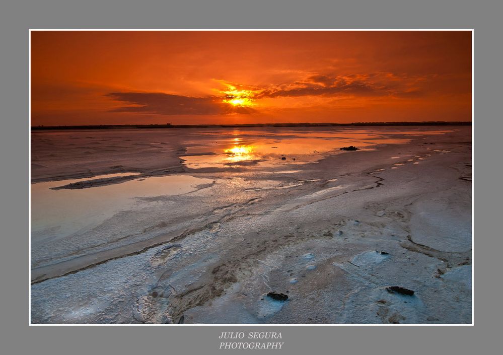 Atardecer   en  las  Marismas