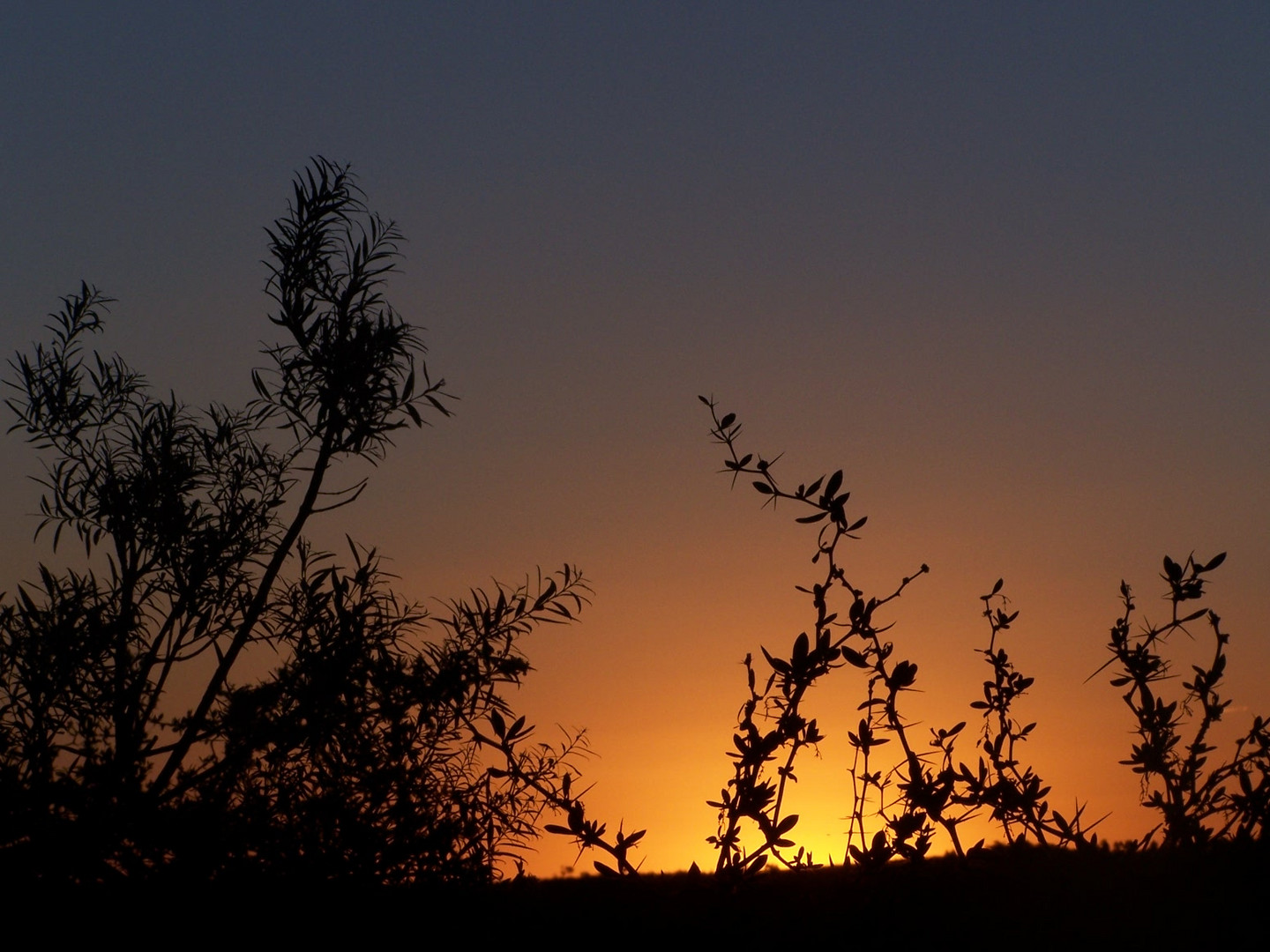 Atardecer en las Sierras