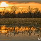 Atardecer en Las Tablas de Daimiel.