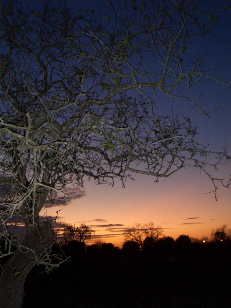 atardecer en lluchmajor