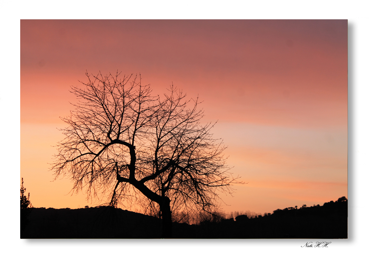 Atardecer en los huertos.