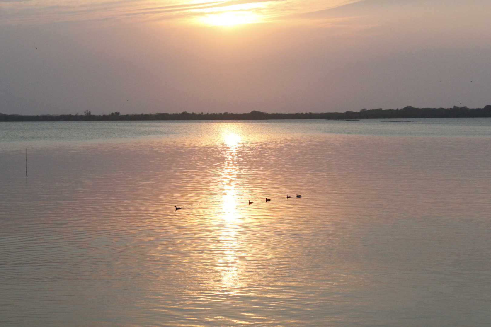 Atardecer en Mandinga Veracruz, Mexico