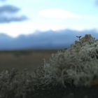 Atardecer en Patagonia