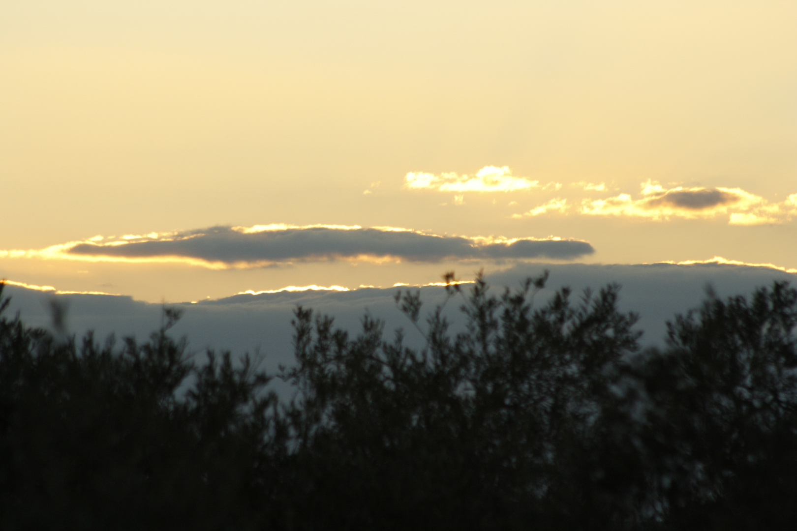 atardecer en salteras