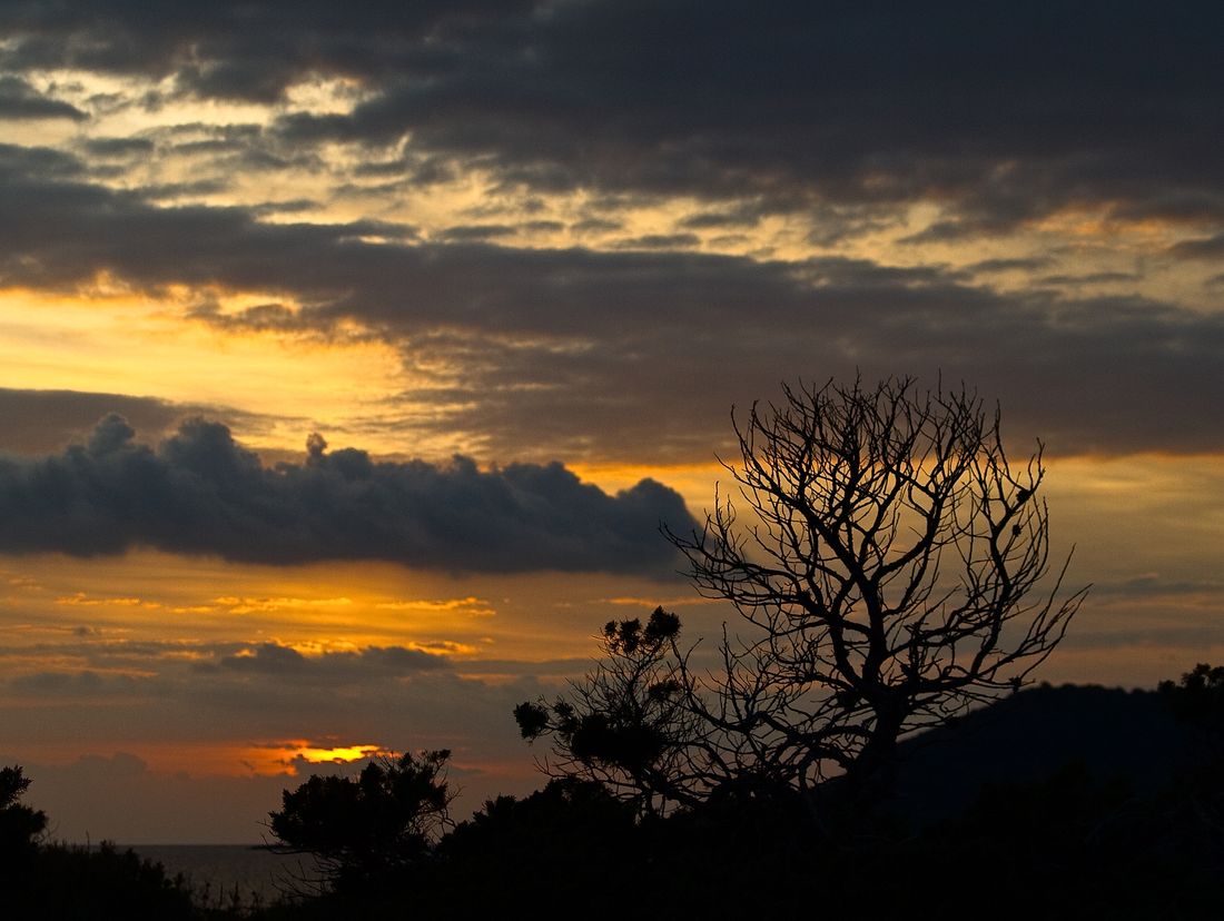 ATARDECER EN SES SALINES