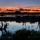 Atardecer en Ses Salines