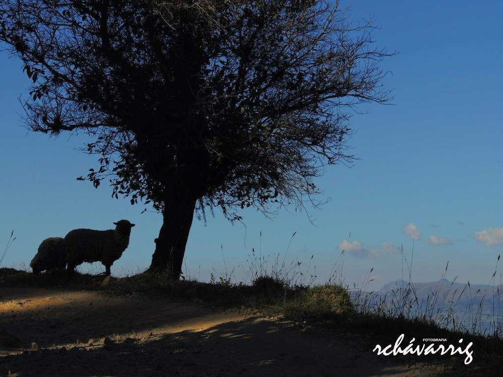 Atardecer en Shahuindo