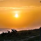 Atardecer en Tomatal