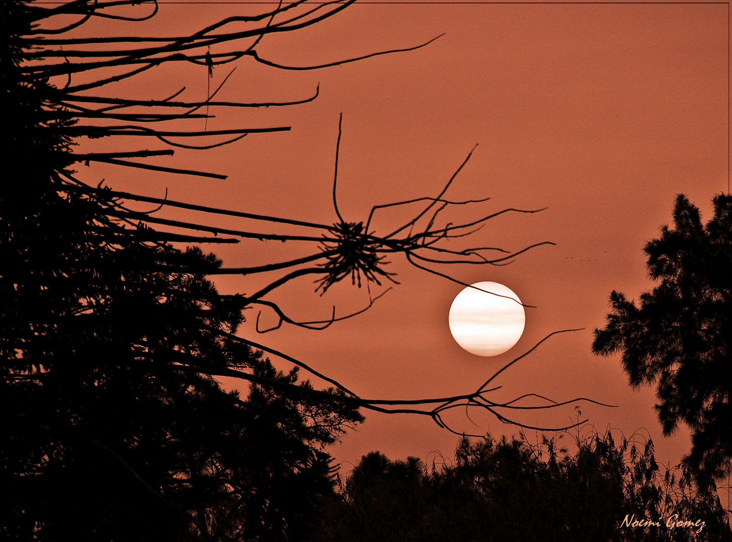 atardecer entre las cenizas