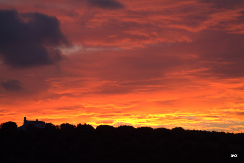 atardecer entre olivos