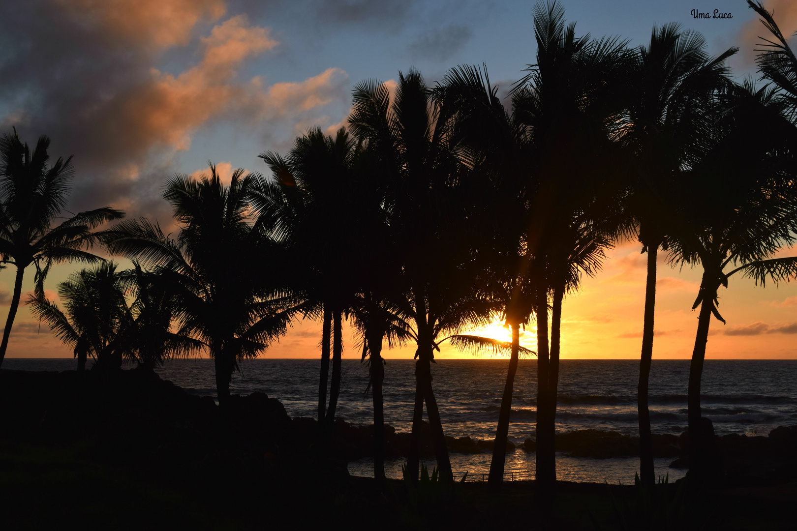 Atardecer entre palmeras..