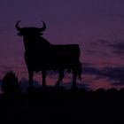 Atardecer Español.