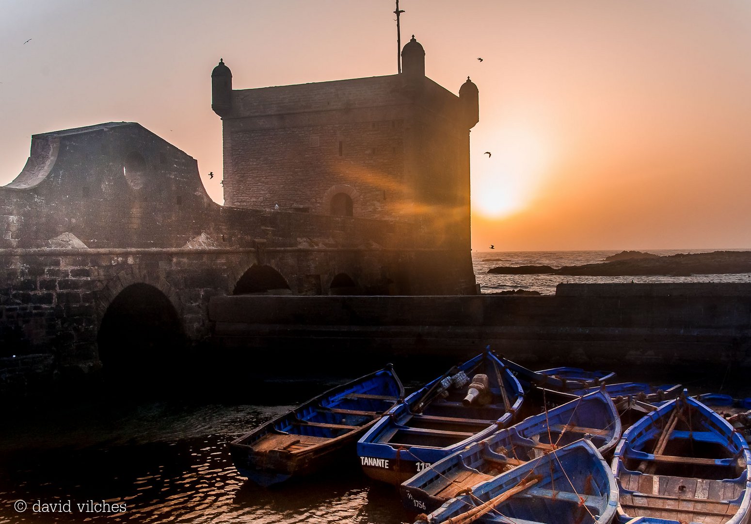 Atardecer Essaouira