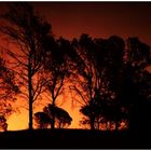 atardecer in argentinien