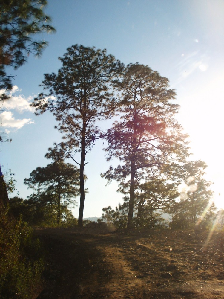 atardecer istmeño