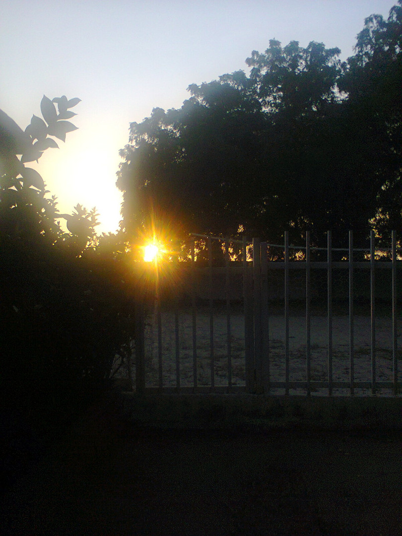 Atardecer IV